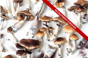 Mental Health Practitioners Attitudes and Beliefs About Psychedelic Substances
