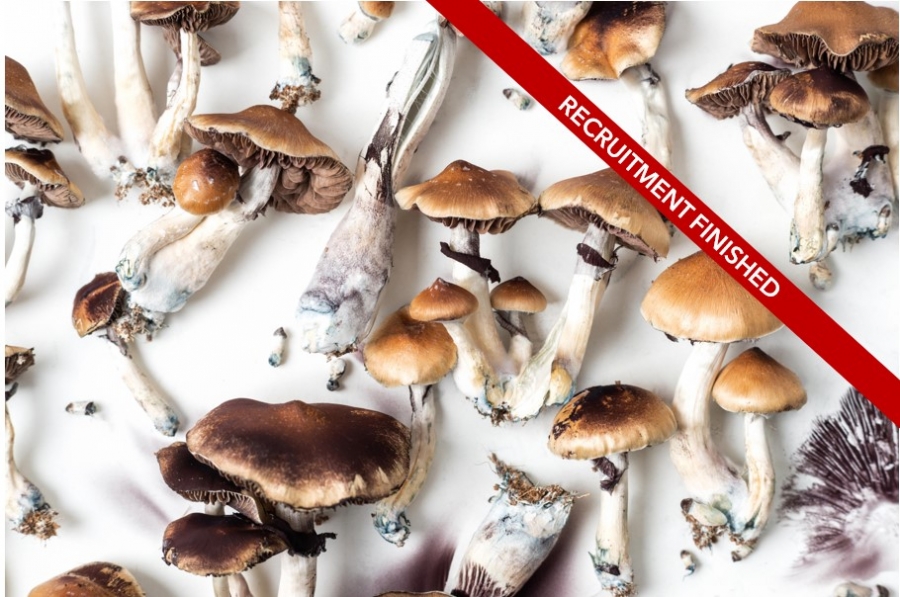 Mental Health Practitioners Attitudes and Beliefs About Psychedelic Substances